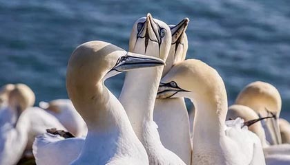 怒江最新的高价找中介取公积金违法吗方法分享(怒江中介取公积金怎么收费教程)