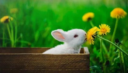 怒江最新的高价医保个人账户余额微信查询方法分享(怒江医保查询个人账户明细怎么查微信教程)